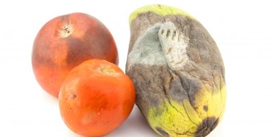 “Rotten Apple ,tomato And Mango” of samuiblue at FreeDigitalPhotos.net