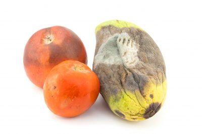 “Rotten Apple ,tomato And Mango” of samuiblue at FreeDigitalPhotos.net